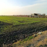 ۲۵۰۰ متر زمین ۵ کیلومتری گرگان