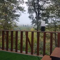 کلبه ۲خواب با جکوزی|اجارهٔ کوتاهمدت ویلا و باغ|نشتارود, |دیوار