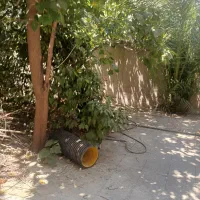 ۳۴۰متر،دربست،تخت طاووس،همه مشاغل|اجارهٔ دفتر کار، اتاق اداری، مطب|تهران, سهروردی|دیوار