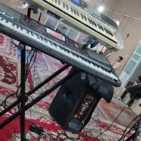 گروه موسیقی