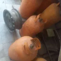 کپسول زرد ایران گاز