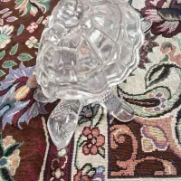 شکلات خوری لاک پشت