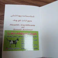 سگ ژرمن|سگ|پلنگ آباد, |دیوار