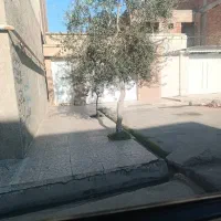 ویلای|فروش خانه و ویلا|گنبد کاووس, |دیوار