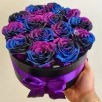 سفارش گل|گل مصنوعی|ارومیه, |دیوار