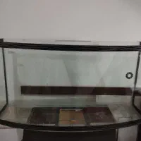 آکواریوم با تمام لوازم لازم