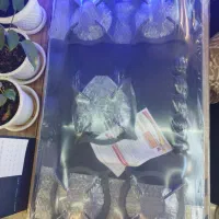 اجاق گاز ترموکوپل دار