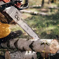 خریددرختخریدارچوب هرسکاری برشکاری|خدمات باغبانی و درختکاری|تبریز, |دیوار