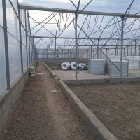 گلخانه 5800متر چهاردیواری شده