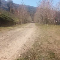 سرایدار وارد به کار باغبانی|استخدام سرایداری و نظافت|توتکابن, |دیوار