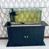 اکواریوم شیشه خم و یک عدد لجن خوار