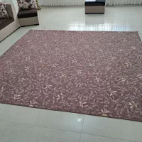 پالاز موکت|موکت|کرمانشاه, |دیوار