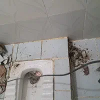 بنای حرفه ای