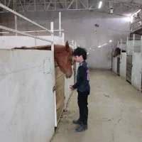 باشگاه سوارکاری راگا|اسب و تجهیزات اسبسواری|تهران, امین آباد|دیوار