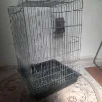 قفس پرنده|لوازم جانبی حیوانات|اصفهان, پوریای ولی|دیوار