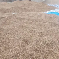 چلتک عنبربو