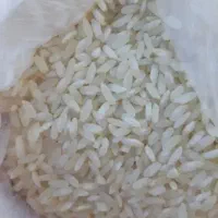 برنج درجه یک محلی چمپا|خوردنی و آشامیدنی|بندرعباس, |دیوار