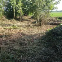 علفتراشی با دستگاه|خدمات باغبانی و درختکاری|لاهیجان, یوسف آباد|دیوار