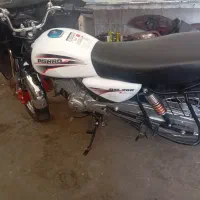 باکسر پیشرو
