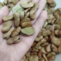 باقالی خشک امساله
