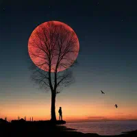 خانه اجاره ای سربیشه