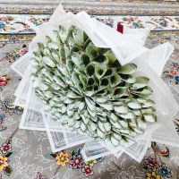 دسته گل پولی|صنایع دستی و سایر لوازم تزئینی|مرند, |دیوار