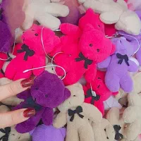 بوکت خرسی|گل مصنوعی|شیراز, میانرود|دیوار