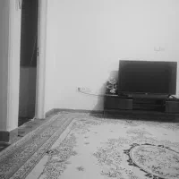 به-یک-هم-خونه-بدون-پول-پیش-و-اجاره-نیاز-ک