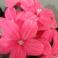 گل مخملی|گل مصنوعی|ایلام, |دیوار