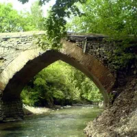 تور ویژە بانوان