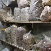واگذاری عطاری در بهترین موقیت و با دخل بالا|اجارهٔ مغازه و غرفه|مشهد, چهنو|دیوار