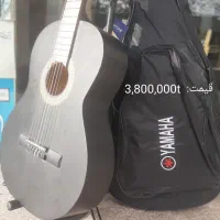 گیتار ایرانی و خارجی در موزیک ارژنگ|گیتار، بیس، امپلیفایر|پردیس, فاز ۳|دیوار