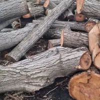 خرید‌‌انواع‌چوب