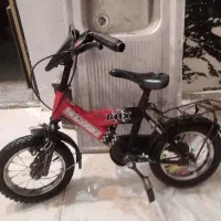 دوچرخه 12 و دوچرخه 20|دوچرخه، اسکیت، اسکوتر|بیرجند, |دیوار