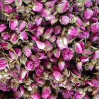 عرق و عرقیجات