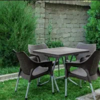 میز و صندلی پلاستیکی حصیری ۹۹۱|میز و صندلی غذاخوری|لواسان, |دیوار