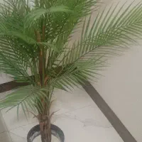 مبل طوسی ۷نفر|مبلمان خانگی و میز عسلی|پیشوا, |دیوار