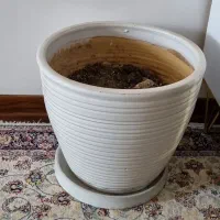 گلدان و زیر گلدانی