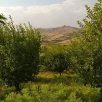 سرایداری و نگهبانی باغ
