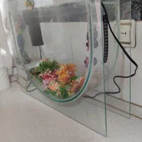 آکواریوم شیشه ای|ماهی|تهران, شکیبا|دیوار