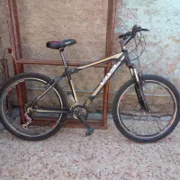 دوچرخه ۲۶ ویوا