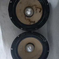 یک جفت میدرنج 8 آلفا سونیک