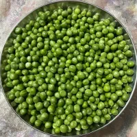 باقالی رب خاکشیر نخودفرنگی لوبیا