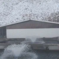 جوشکاری آلاچیق و سوله و اسکلت فلزی ساختمان|خدمات پیشه و مهارت|اصفهان, بهارستان|دیوار