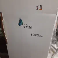 فریزر|یخچال و فریزر|فریدونشهر, |دیوار