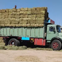 تک بنز باری مدل۵۰