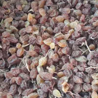 کشمش عسگری اعلا|خوردنی و آشامیدنی|شازند, |دیوار