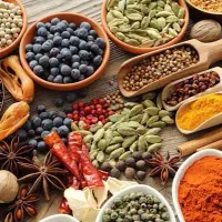 عرضه انواع ادویه با کیفیت ایرانی و هندی