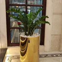 گلدان فلزی استوانه کنارسالنی و باکس شیک و مقاوم|گل و گیاه طبیعی|تهران, آجودانیه|دیوار
