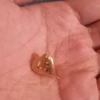 گوشواره ی من گم شده